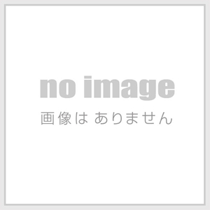 LEG MOTER SPORT RX-8 SE3P 後期 マツダ純正 フォグランプセット RX-8 SE3P クラブスポーツバンパー用